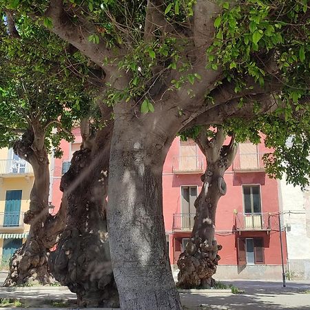 Alla Marina Da Pina Trapani Esterno foto
