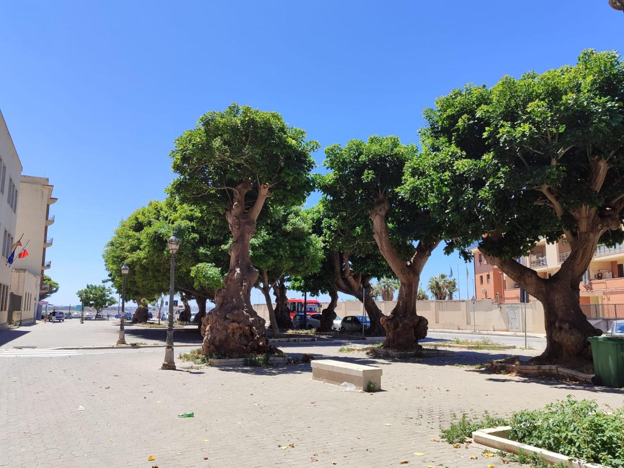 Appartamento Alla Marina Da Pina Trapani Esterno foto