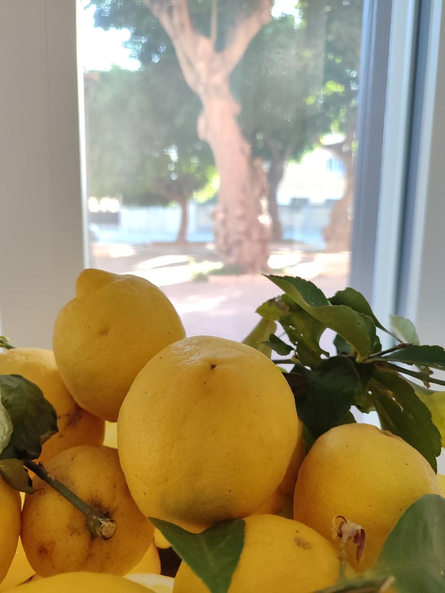 Alla Marina Da Pina Trapani Esterno foto