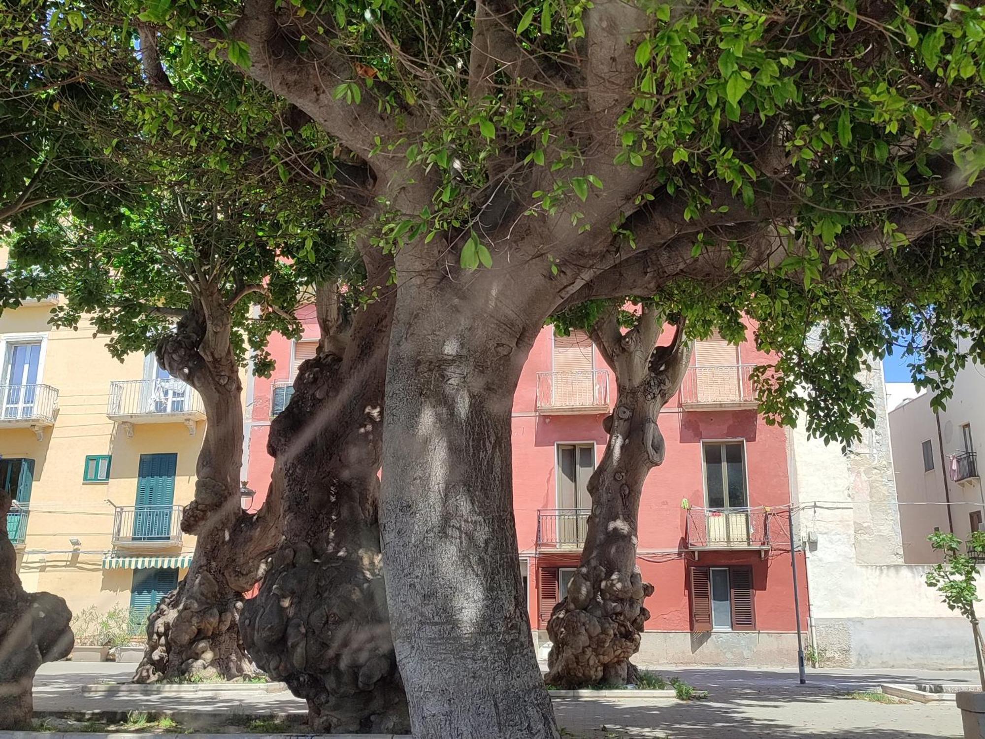 Alla Marina Da Pina Trapani Esterno foto