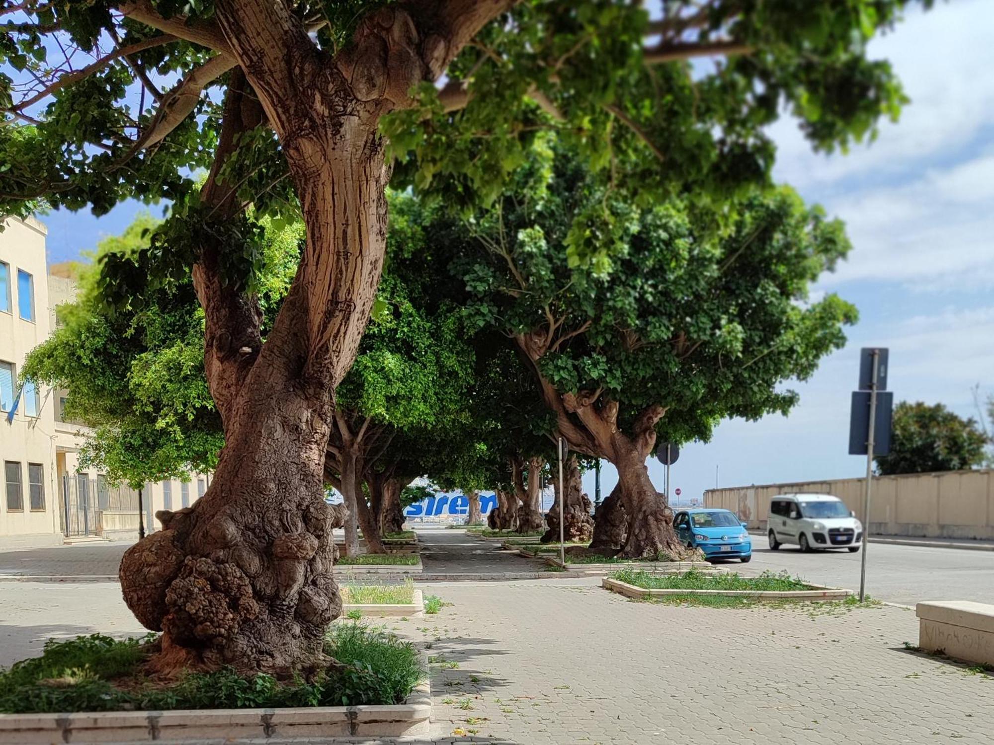 Alla Marina Da Pina Trapani Esterno foto